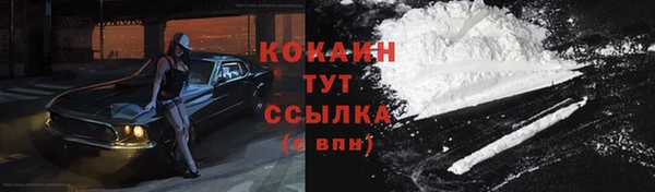 каннабис Новозыбков