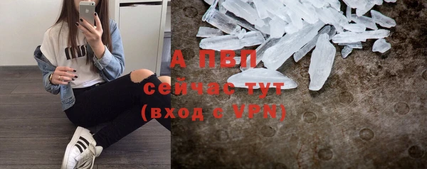 спиды Новокубанск
