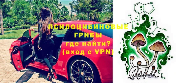 каннабис Новозыбков