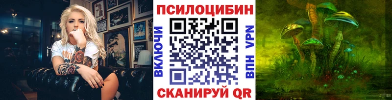 продажа наркотиков  Пудож  Галлюциногенные грибы прущие грибы 